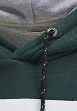 Jack & Jones Jjelogo Blocking Hood - Hoodie - Grün -Jack & Jones Verkoopwinkel 0c284b0732b74c929e351a399024c920
