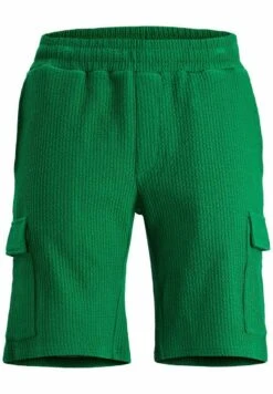 Jack & Jones Shorts - Verdant Green -Jack & Jones Verkoopwinkel 259b1f687a71437eb10f271309c55459