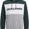 Jack & Jones Jjelogo Blocking Hood - Hoodie - Grün