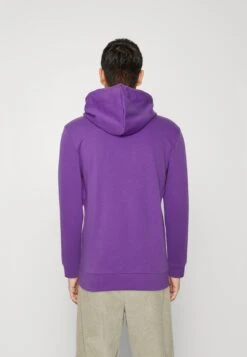 Jack & Jones Jorcrown Skull Hood - Sweater - Deep Lavender -Jack & Jones Verkoopwinkel 76543174a69d4941b41ccee73c923d4c