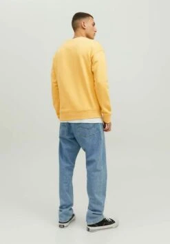 Jack & Jones Jjestar Basic Crew Neck - Sweater - Jojoba -Jack & Jones Verkoopwinkel 784928ab0ce649aba09d8a5b331108c8