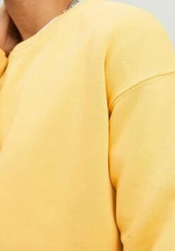 Jack & Jones Jjestar Basic Crew Neck - Sweater - Jojoba -Jack & Jones Verkoopwinkel 8fd26cb5aa6f49f5a3f17c760099dbe2