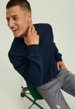 Jack & Jones Jjestar Basic Crew Neck - Sweater - Navy Blazer -Jack & Jones Verkoopwinkel c649907cf8af4e08b86c398a0bc2fd08
