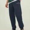 Jack & Jones Kane Brink Grafik - Trainingsbroek - Navy Blazer