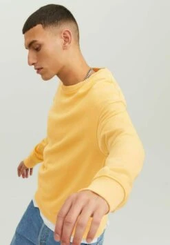 Jack & Jones Jjestar Basic Crew Neck - Sweater - Jojoba -Jack & Jones Verkoopwinkel e0a241d277b64c86b024bfe3bfa211a6