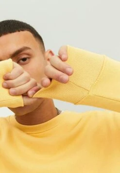 Jack & Jones Jjestar Basic Crew Neck - Sweater - Jojoba -Jack & Jones Verkoopwinkel e16c6c22d53d4d2fa7364e6b22468f65