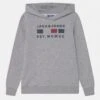 Jack & Jones Junior Jcofreddie Hood Jnr - Hoodie - Light Grey Melange