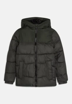 Jack & Jones Junior Jjchili Puffer Hood - Winterjas - Grün
