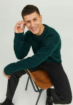 Jack & Jones JorollieCrew Neck - Trui - Magical Forest 12 Jack & Jones JorollieCrew Neck - Trui - Magical Forest -Jack & Jones Verkoopwinkel e94b09538a4446389a36453db36ec166