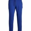 Jack & Jones Gordon Weich - Trainingsbroek - Bluing
